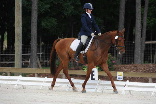 So8ths-5-4-12-Dressage-0410-KerryTracey-BourbonGingerbear-DDeRosaPhoto