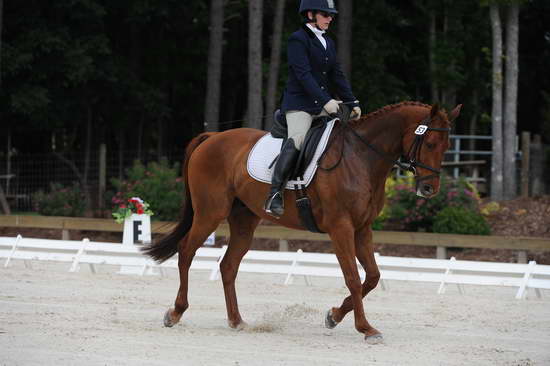 So8ths-5-4-12-Dressage-0420-KerryTracey-BourbonGingerbear-DDeRosaPhoto