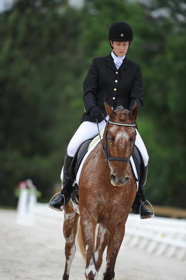So8ths-5-4-12-Dressage-0454-JordanLambert-RioWild-DDeRosaPhoto
