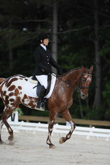 So8ths-5-4-12-Dressage-0483-JordanLambert-RioWild-DDeRosaPhoto
