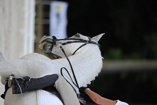 So8ths-5-4-12-Dressage-0530-CathyBlackmon-HideawaysSpecialDelivery-DDeRosaPhoto