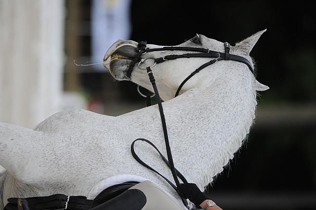 So8ths-5-4-12-Dressage-0533-CathyBlackmon-HideawaysSpecialDelivery-DDeRosaPhoto