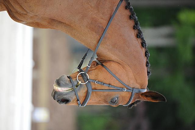 So8ths-5-4-12-Dressage-0568-RachelWade-Nicole-DDeRosaPhoto