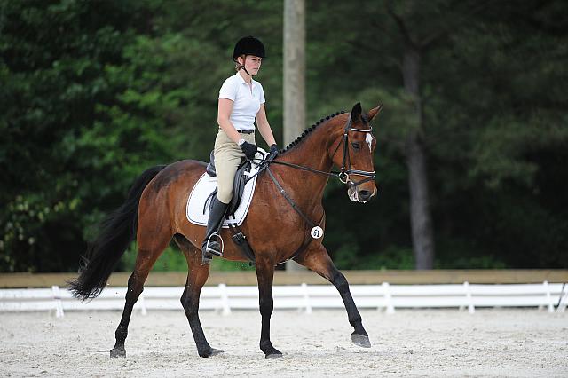 So8ths-5-4-12-Dressage-0691-AllieKeresman-MysticDora-DDeRosaPhoto