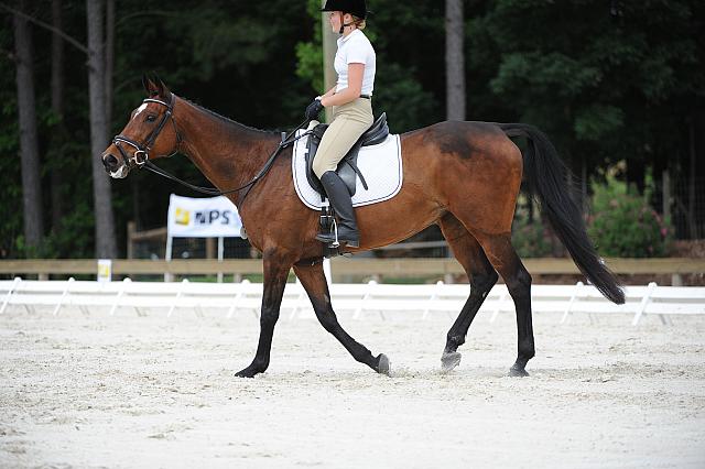 So8ths-5-4-12-Dressage-0698-AllieKeresman-MysticDora-DDeRosaPhoto