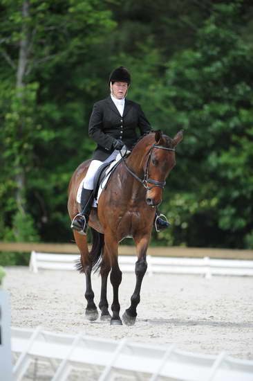 So8ths-5-4-12-Dressage-0715-BonnieMosser-Isbond-DDeRosaPhoto