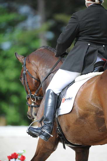 So8ths-5-4-12-Dressage-0722-BonnieMosser-Isbond-DDeRosaPhoto