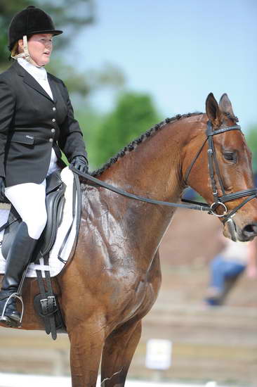 So8ths-5-4-12-Dressage-0724-BonnieMosser-Isbond-DDeRosaPhoto