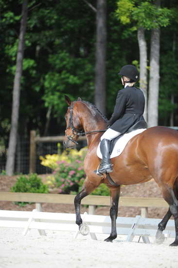 So8ths-5-4-12-Dressage-0735-HeidiBeaumont-SouthBoundary-DDeRosaPhoto