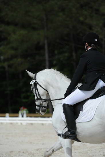 So8ths-5-4-12-Dressage-0771-KaylinMedlin-Watch-Me-Now-DDeRosaPhoto