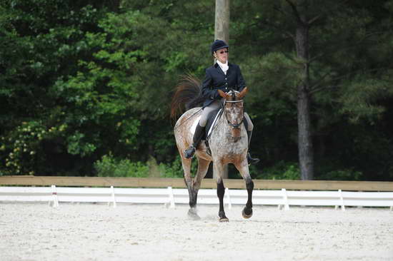 So8ths-5-4-12-Dressage-0799-RisaMoon-LilyB-DDeRosaPhoto