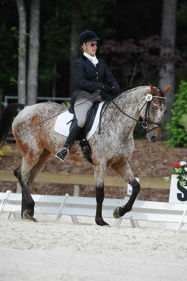 So8ths-5-4-12-Dressage-0802-RisaMoon-LilyB-DDeRosaPhoto