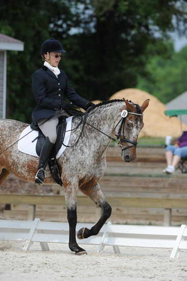 So8ths-5-4-12-Dressage-0815-RisaMoon-LilyB-DDeRosaPhoto