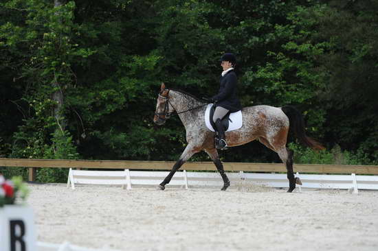 So8ths-5-4-12-Dressage-0826-RisaMoon-LilyB-DDeRosaPhoto