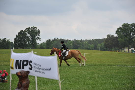 So8ths-5-6-12-SJDay-5293-SarahZimmer-MardiGras-DDeRosaPhoto