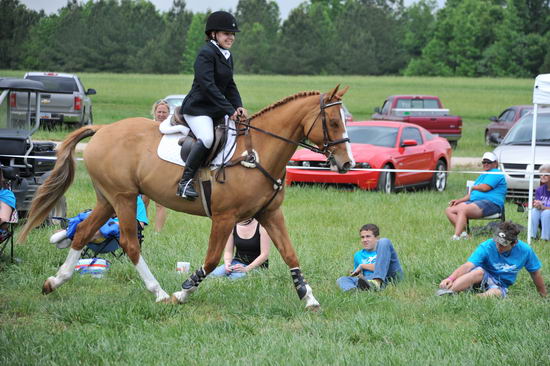 So8ths-5-6-12-SJDay-5198-SarahZimmer-MardiGras-DDeRosaPhoto