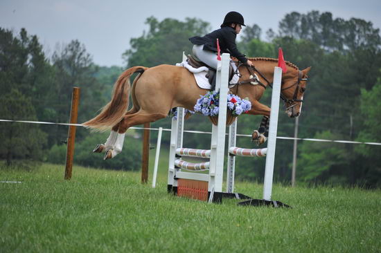 So8ths-5-6-12-SJDay-5205-SarahZimmer-MardiGras-DDeRosaPhoto