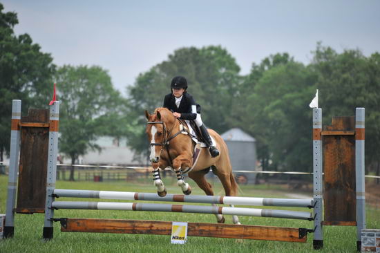 So8ths-5-6-12-SJDay-5211-SarahZimmer-MardiGras-DDeRosaPhoto