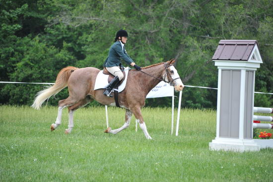 So8ths-5-6-12-SJDay-4859-BrianaTimmerman-ASplashofHenry-DDeRosaPhoto