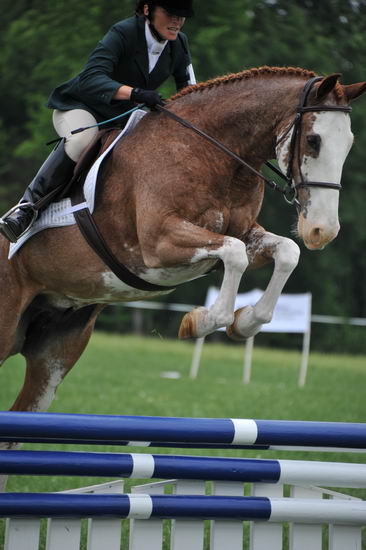 So8ths-5-6-12-SJDay-4874-BrianaTimmerman-ASplashofHenry-DDeRosaPhoto