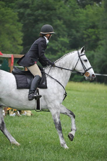 So8ths-5-6-12-SJDay-4972-MicheleLobsinger-GlenlarasPride-DDeRosaPhoto