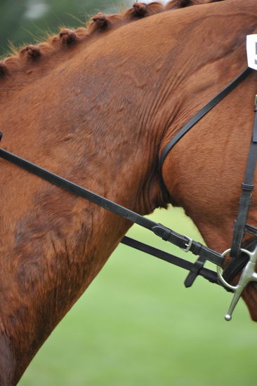 So8ths-5-6-12-SJDay-4538-KerryTracey-BourbonGingerbear-DDeRosaPhoto