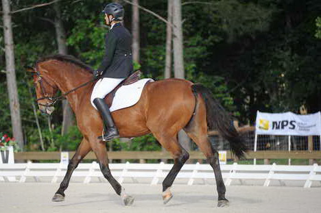 So8ths-5-4-12-Dressage-0323-BevWarner-Arnold-DDeRosaPhoto