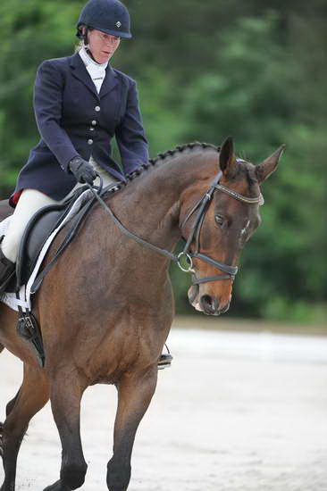 So8ths-5-4-12-Dressage-0624-LindsayStaianoWilliams-TriumphII-DDeRosaPhoto