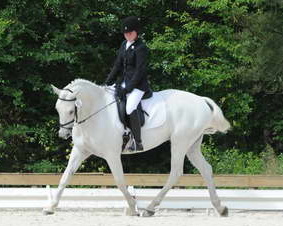 So8ths-5-4-12-Dressage-0785-KaylinMedlin-Watch-Me-Now-DDeRosaPhoto
