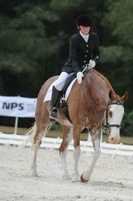 So8ths-5-4-12-Dressage-1048-BrianaTimmerman-ASplashofHenry-DDeRosaPhoto