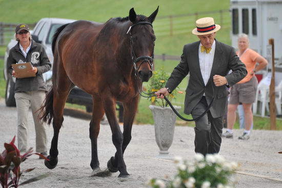 So8ths-5-6-12-SJDay-4216-JamesBaker-Wings-N3D-DDeRosaPhoto