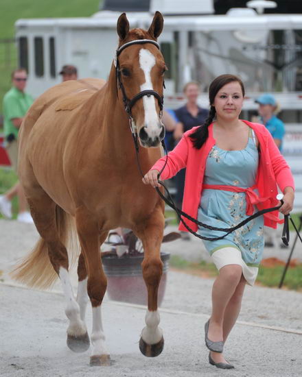 So8ths-5-6-12-SJDay-4267-SarahZimmer-MardiGras-BN3D-DDeRosaPhoto