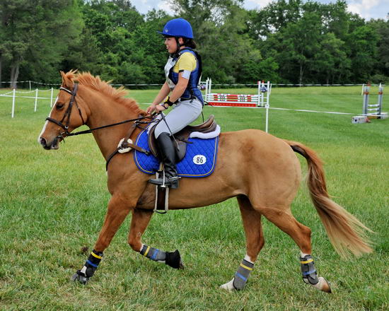 So8ths2-5-5-12-XCDay-3660-SarahZimmer-MardiGras-DDeRosaPhoto