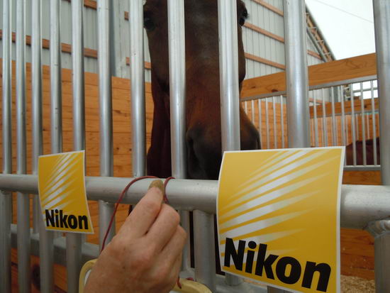 Bonnie Mosser-55-63-11