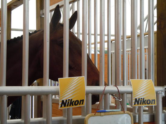 Bonnie Mosser-55-63-13