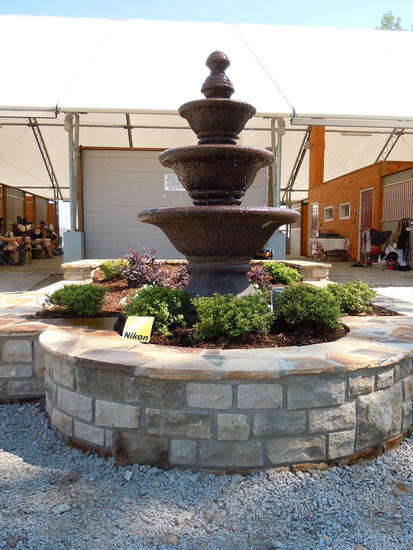 Meghan Thompson-83-10