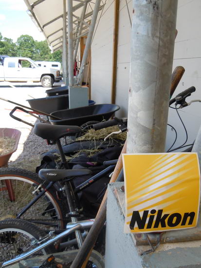 Meghan Thompson-83-13