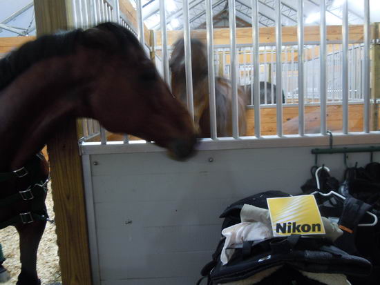 Meghan Thompson-83-25