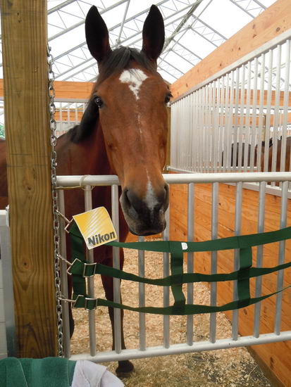 Meghan Thompson-83-9