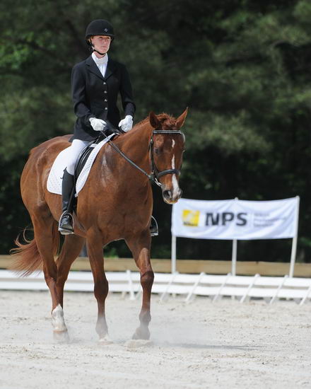 So8ths-5-4-12-Dressage-0886-KelseyBriggs-TheItalianJob-DDeRosaPhoto