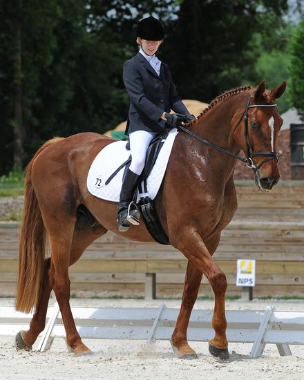 So8ths-5-4-12-Dressage-0940-KristinNeill-BigBonesBailey-DDeRosaPhoto