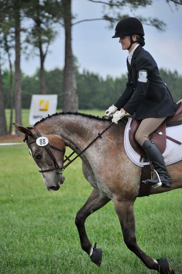 So8ths-5-6-12-SJDay-5126-KelseyBriggs-CuttersSouthernJaz-DDeRosaPhoto