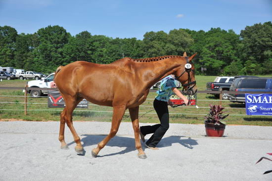 So8ths-5-3-12-1stJog-2192-DDeRosaPhoto