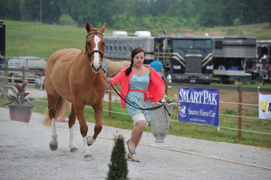 So8ths-5-6-12-SJDay-4268-SarahZimmer-MardiGras-BN3D-DDeRosaPhoto