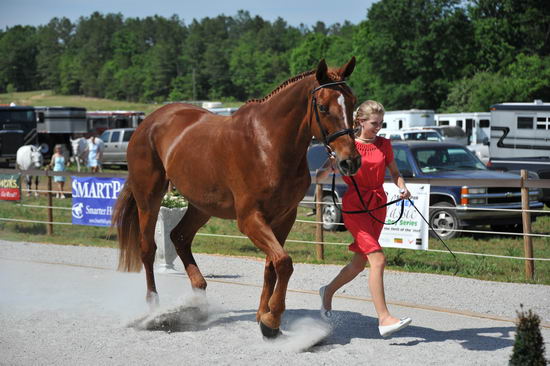 So8ths-5-3-12-1stJog-2082-KristinNeill-BigBonesBailey-N3D-DDeRosaPhoto