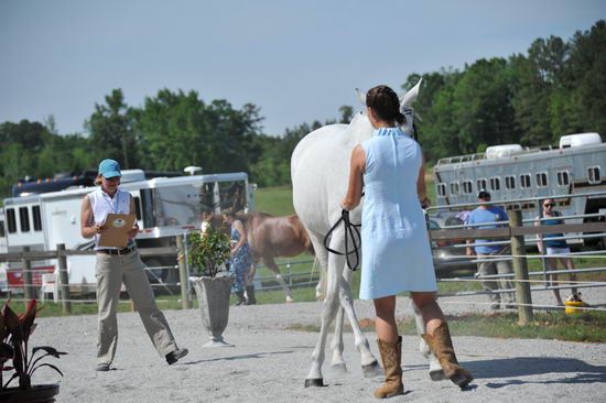 So8ths-5-3-12-1stJog-2094-ElizabethGoldstein-DaddysHatTrick-N3D-DDeRosaPhoto