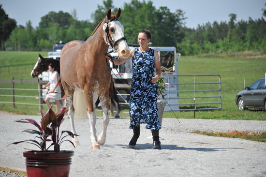 So8ths-5-3-12-1stJog-2101-BrianaTimmerman-ASplashofHenry-N3D-DDeRosaPhoto