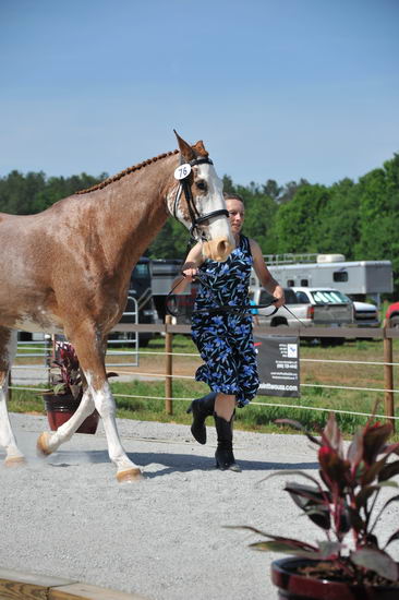 So8ths-5-3-12-1stJog-2104-BrianaTimmerman-ASplashofHenry-N3D-DDeRosaPhoto