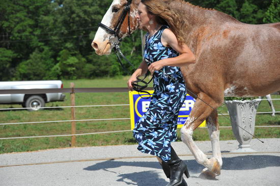 So8ths-5-3-12-1stJog-2109-BrianaTimmerman-ASplashofHenry-N3D-DDeRosaPhoto