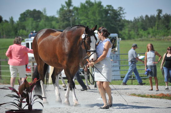 So8ths-5-3-12-1stJog-2111-KindellBillingsley-Keeneland-N3D-DDeRosaPhoto